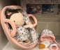 Preview: Stoffpuppe Baby Rosa von Little Dutch