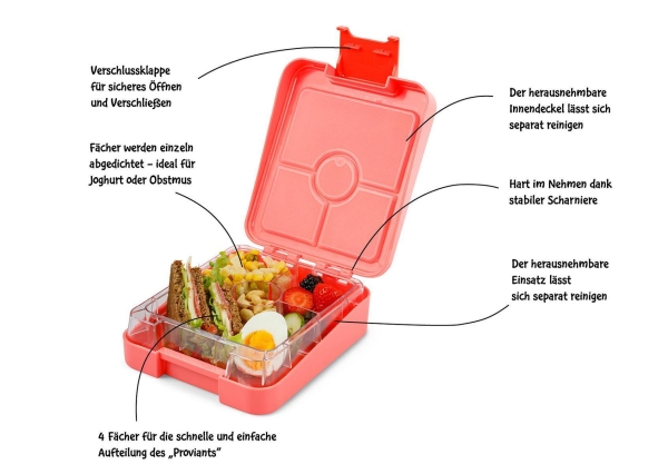 Schmatz Fatz easy Znünibox (mit Unterteilung) coral *Schmetterlinge*
